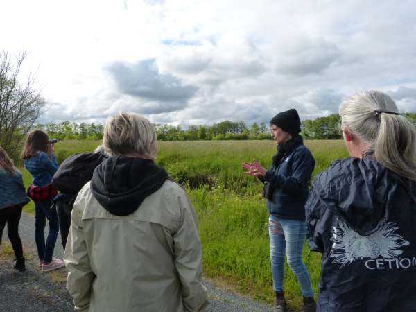 Visiet guidée "Les hérons font le tempo" au coeur du marais de Brouage